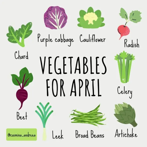 April vegetables list