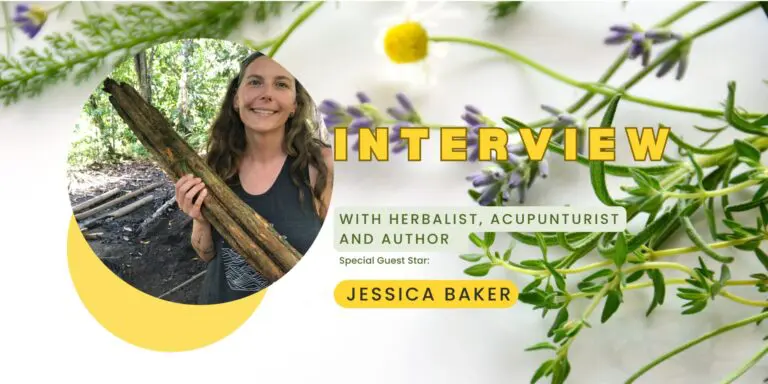 Exploring Herbalism and Traditional Medicine: Jessica Baker Interview
